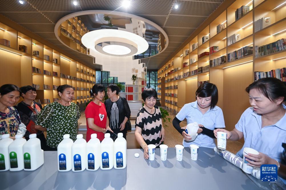 糖果派对在线体验服